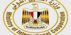 رسوم تجديد السجل التجاري في مصر