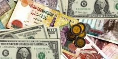 سعر الدولار الأمريكي والعملات الأجنبية مقابل الجنيه المصري اليوم 18 يناير 2022