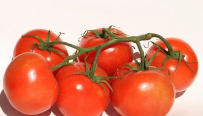 طرق مذهلة لتخزين الطماطم لأطول فترة ممكنه مع الإحتفاظ بلونها الأحمر