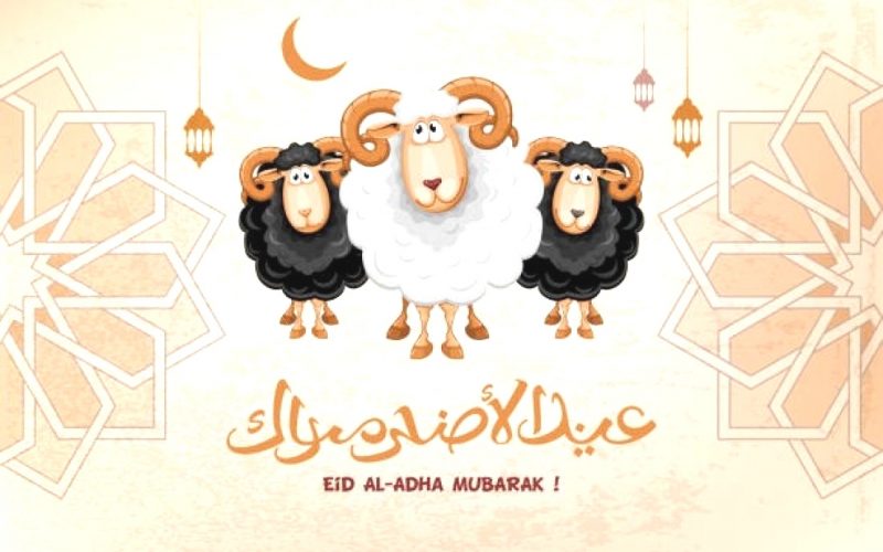 عبارات وكلمات تهنئة عيد الأضحى المبارك 2022 ومسجات sms للعيد