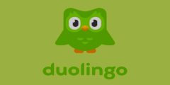 فوائد تطبيق Duolingo لتعلم اللغة الإنجليزية للمبتدئين